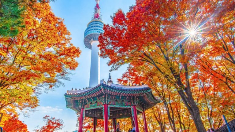 نظرة على أجمل تجارب الخريف في كوريا الجنوبية: سحر الثقافة وروعة المغامرات
